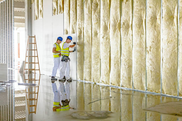 Best Insulation Contractors for Homes  in St Clair, MO